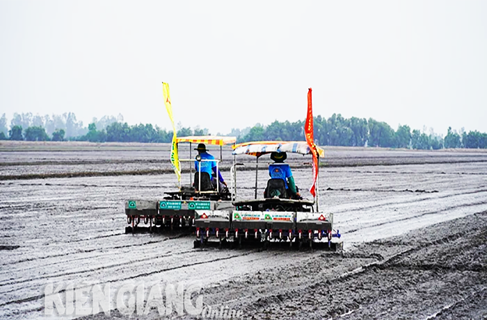 Bàn giải pháp mở rộng vùng chuyên canh lúa chất lượng cao, phát thải thấp 